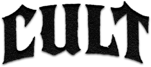 Ash Black Embroidered Baggy Denim (PRE-ORDER)